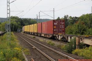 231