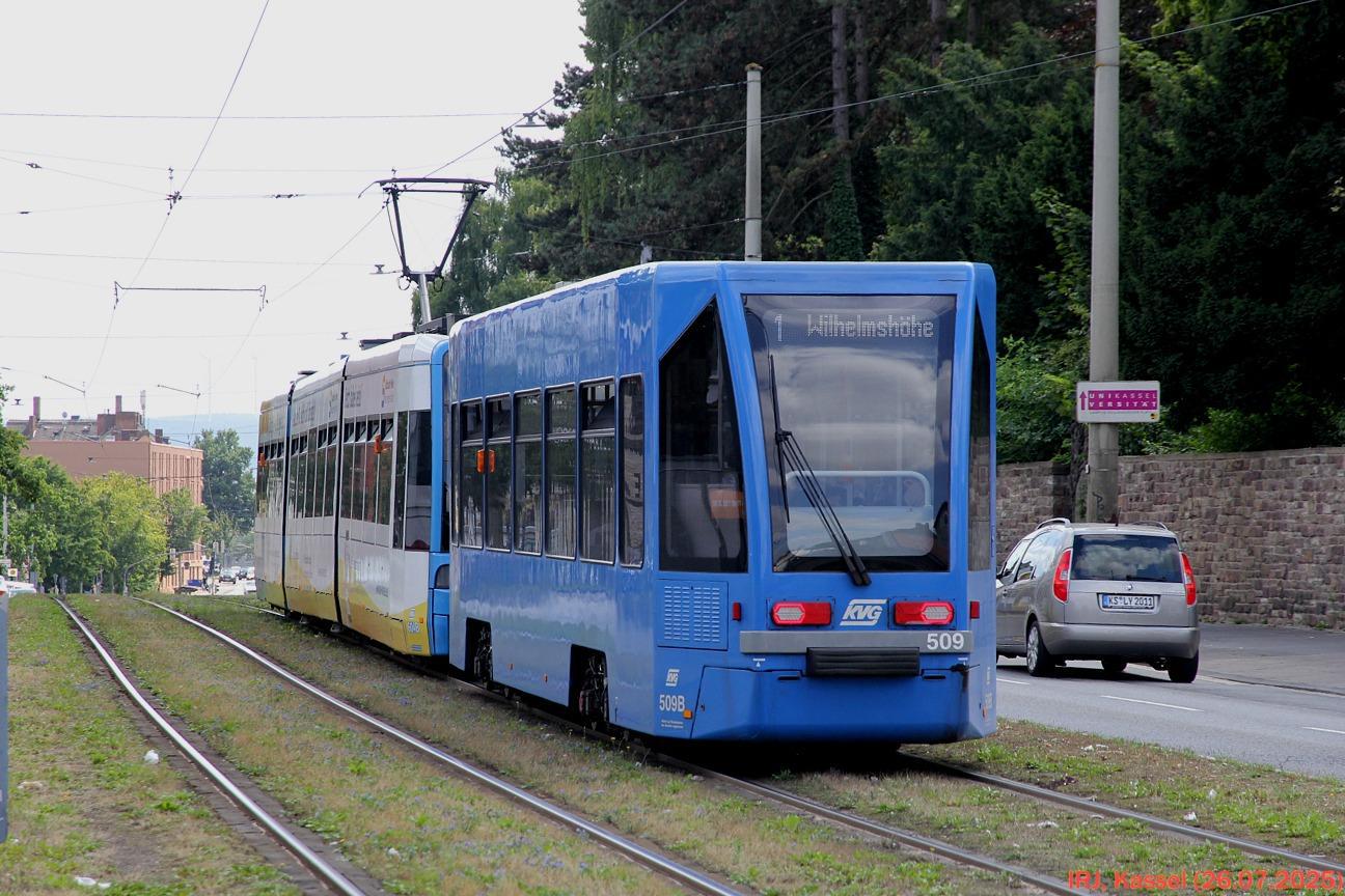 230